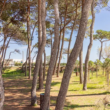 Al Mare - Il Riparo D'amare